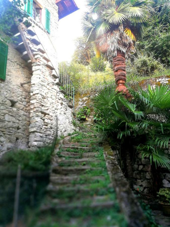 Rustico Vista Lago Lezzeno Exterior foto